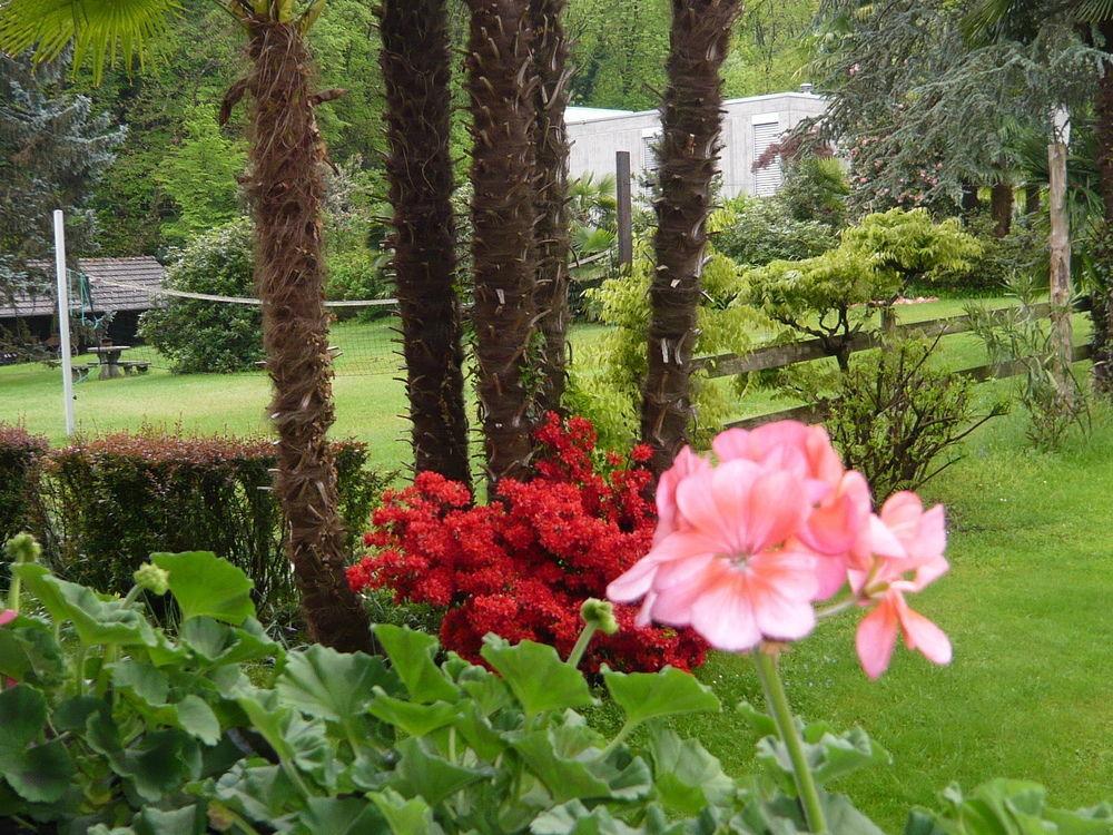 Garni Villa Siesta Park Losone Exterior foto